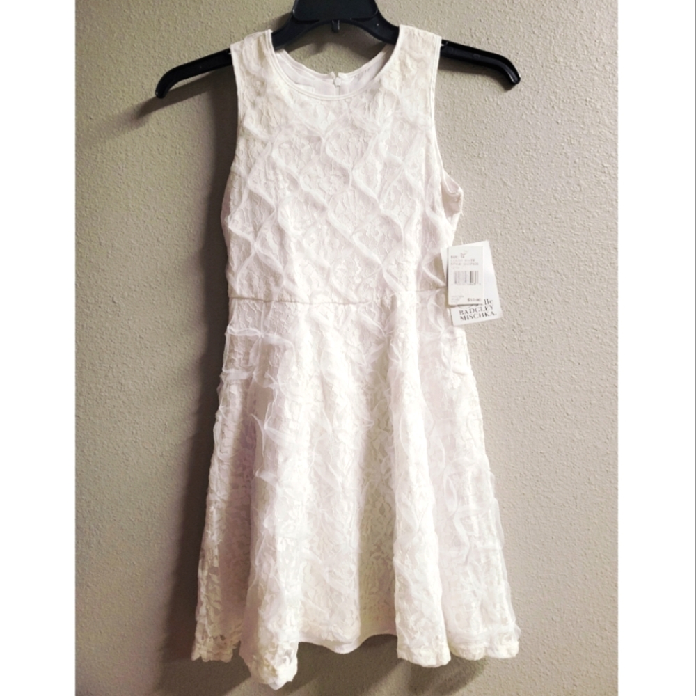 New! Belle Badgley Mischka Lace Overlay Skater Dress